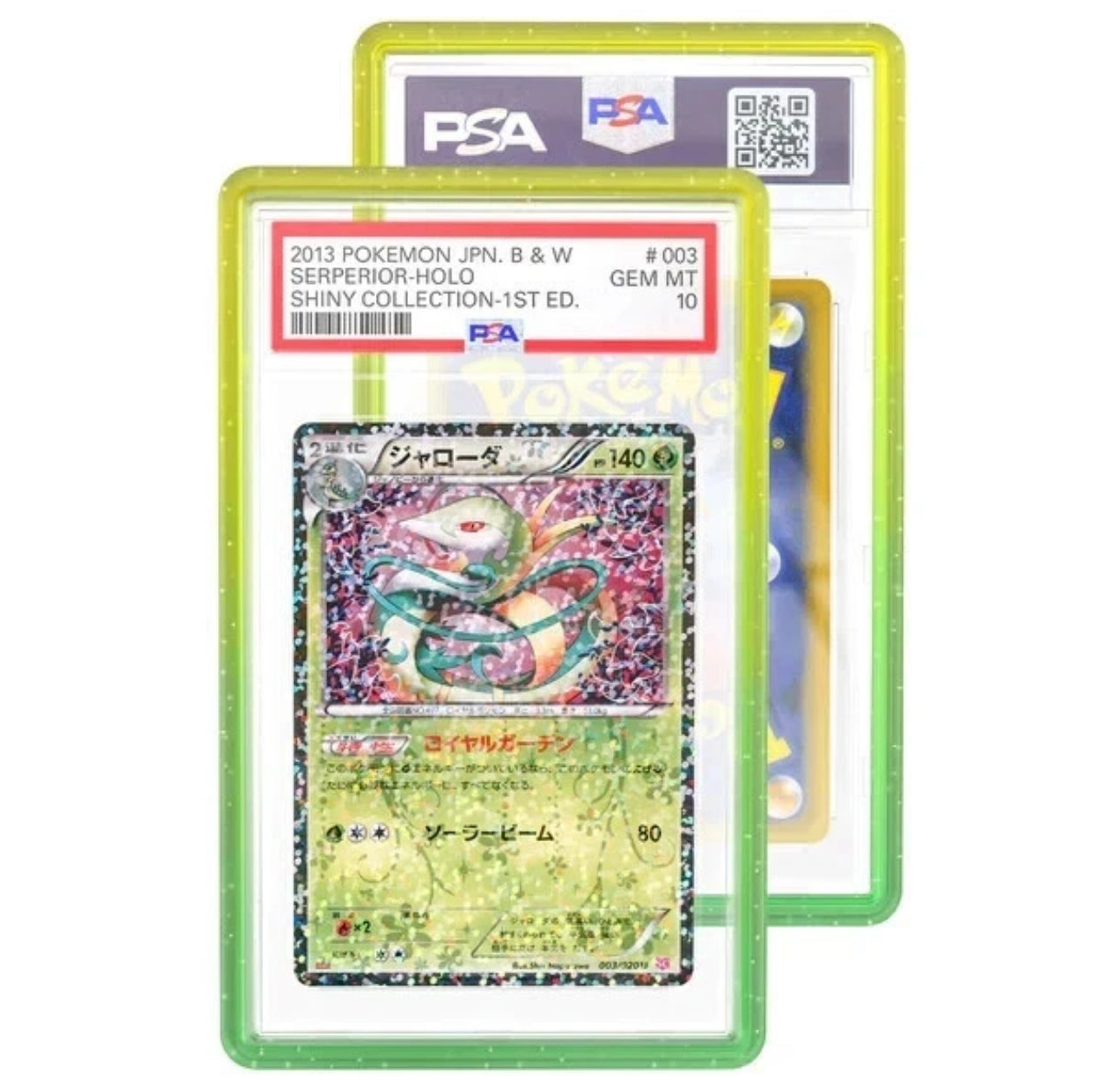 PSA Graded Guard - Python PSA Graded Guard - Python