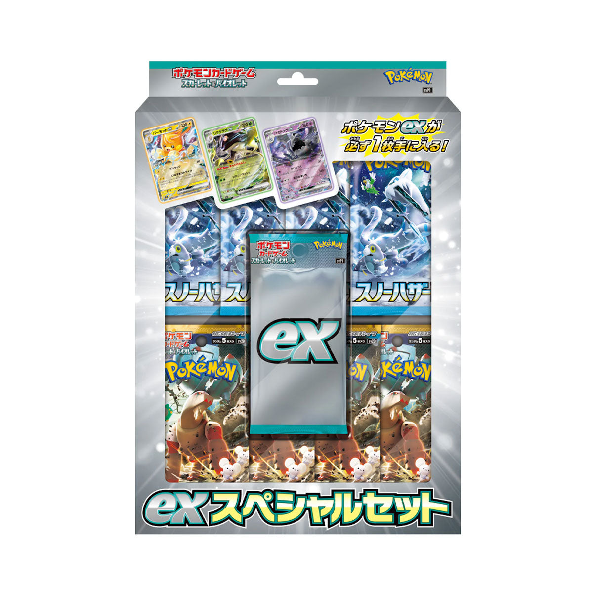 Pokemon Snow Hazard Clay Burst Special Set Box