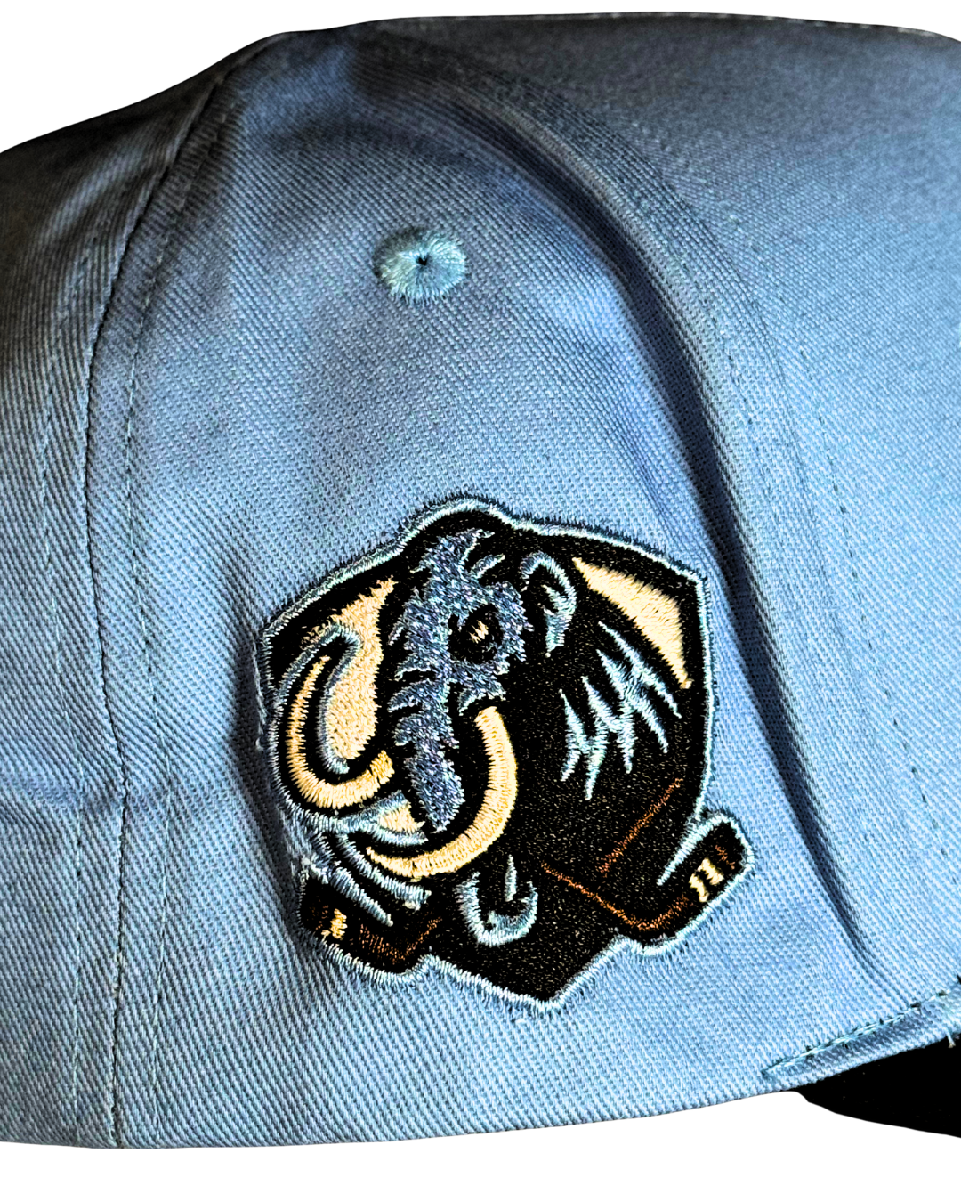 Legends Never Go Extinct Utah Crave Hat